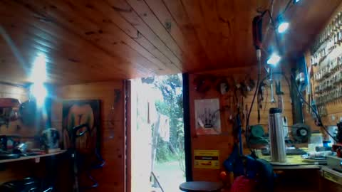 Snapshot of discretopasivo chatting on June 13, 2026, 5:00 pm discretopasivo online show from June 13, 2026, 5:00 pm
