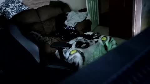 Hansel and Gretle online show from April 21, 2026, 11:51 pm