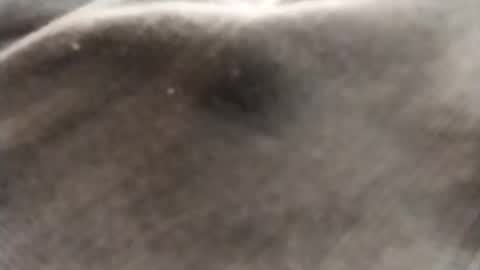 Snapshot of dlov3 chatting on February 8, 2026, 10:13 pm dlov3 online show from February 8, 2026, 10:13 pm