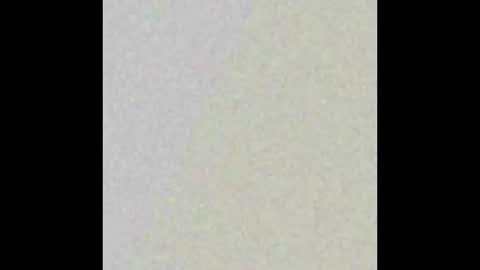 dmtuda11 online show from March 26, 2026, 7:47 am