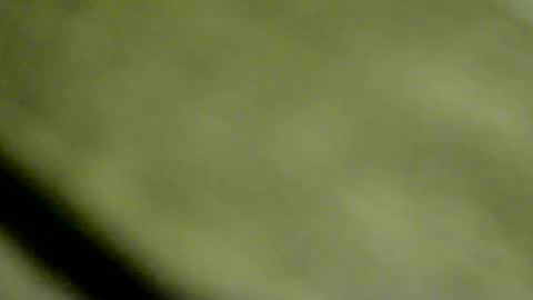 Doby online show from January 15, 2026, 10:46 pm