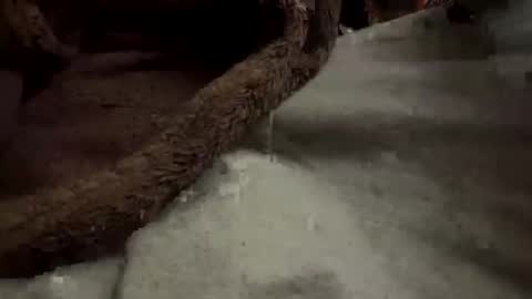 Snapshot of doingmek9 chatting on February 20, 2025, 11:20 am doingmek9 online show from February 20, 2025, 11:20 am