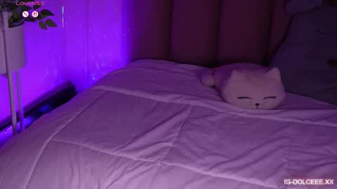 Dolcexx online show from January 13, 2026, 8:03 pm