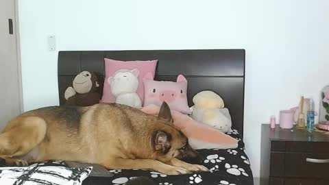 Auro and Santiago online show from March 4, 2025, 2:49 am