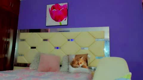 dollcute_latin online show from April 15, 2026, 9:16 am