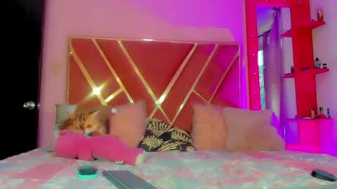 Snapshot of dollcute_latin chatting on May 1, 2026, 10:03 pm dollcute_latin online show from May 1, 2026, 10:03 pm