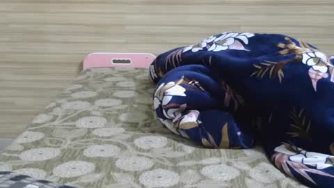 dolly_2 online show from February 6, 2025, 10:04 am