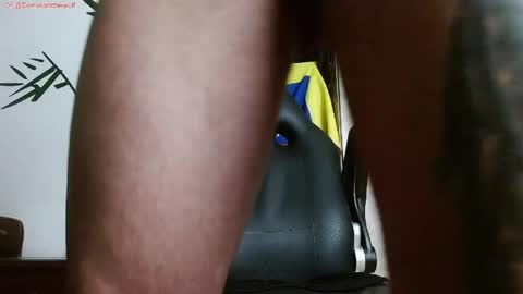 Logan - INDEPENDET MODEL online show from April 20, 2026, 8:54 pm