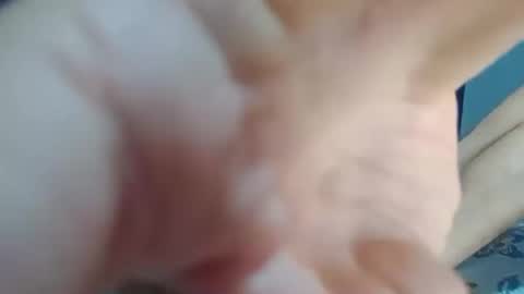 dominic_fox04 online show from December 23, 2024, 12:14 am