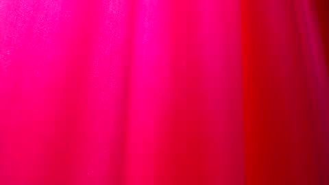 Snapshot of dommetomorrow chatting on February 25, 2025, 5:36 pm DommeTomorrow online show from February 25, 2025, 5:36 pm