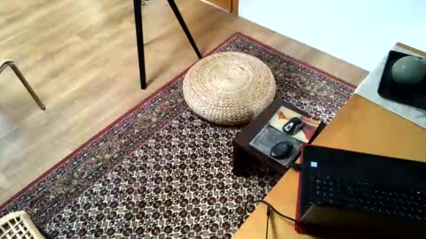 Alfredo online show from February 2, 2025, 2:24 pm