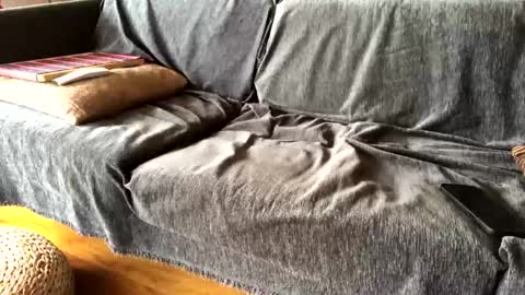 Alfredo online show from February 9, 2025, 9:47 am