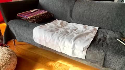 Alfredo online show from December 4, 2025, 10:13 am