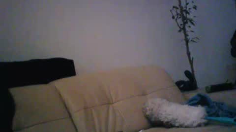 donosus online show from January 18, 2026, 1:31 am