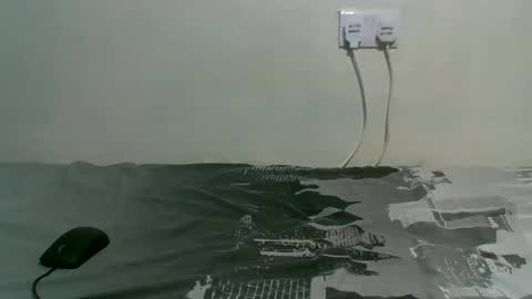 dortomel online show from October 28, 2025, 7:16 pm