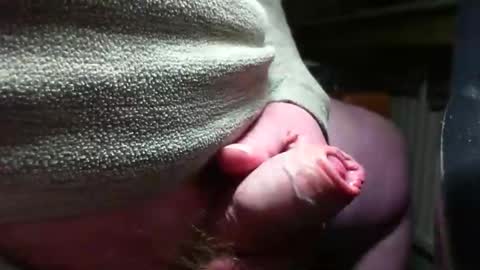 doscard online show from December 14, 2024, 11:34 pm