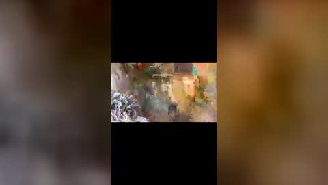 dpbbb online show from April 5, 2026, 5:04 am