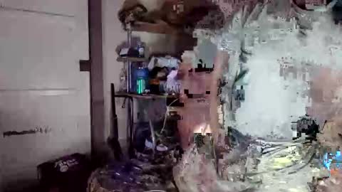 MrPirated online show from April 8, 2026, 11:32 am