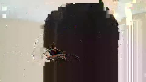 Dread online show from March 10, 2025, 11:10 am