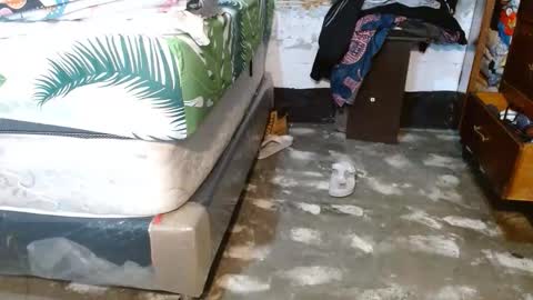 dreamreal online show from March 18, 2026, 10:40 am