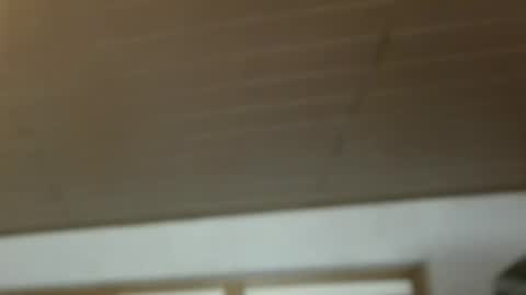 Snapshot of dreambob chatting on December 21, 2025, 11:17 am Dreambob online show from December 21, 2025, 11:17 am