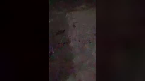 dreamerdick101 online show from December 19, 2025, 12:01 pm