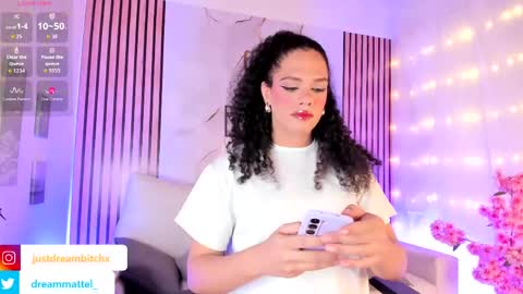 Dream Matell online show from April 28, 2026, 3:22 am