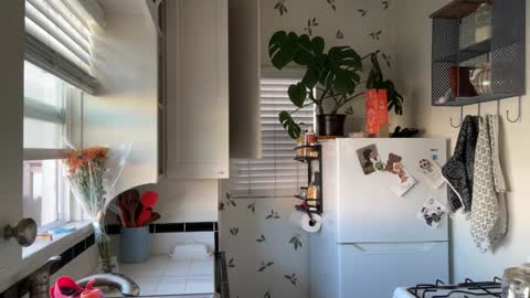 RIRI OR DREAMY online show from February 5, 2025, 5:09 pm