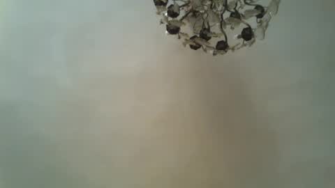 Snapshot of drfillgood chatting on June 20, 2026, 11:02 am Dr Fill online show from June 20, 2026, 11:02 am
