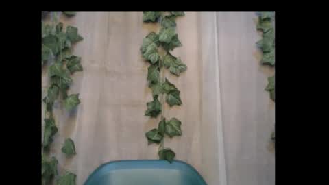 linda online show from October 3, 2025, 8:50 pm