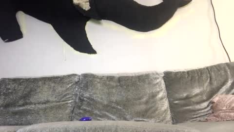 2xTheTrouble online show from February 8, 2026, 3:21 am