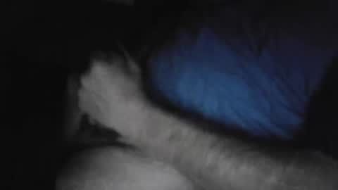 drthick1224 online show from November 3, 2025, 2:35 am