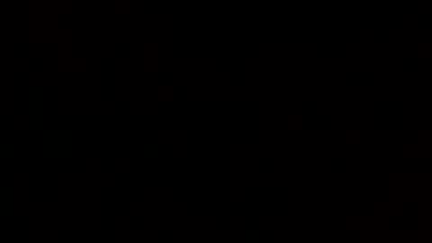 ds_80 online show from January 26, 2025, 10:45 am