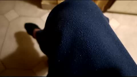 dthedog12 online show from February 21, 2025, 12:27 am