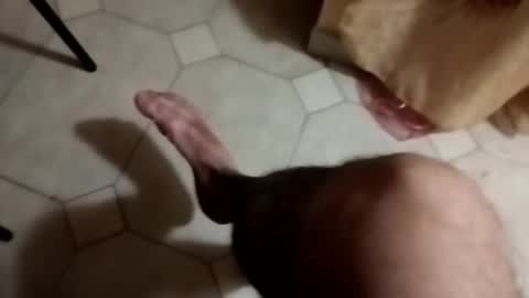 dthedog12 online show from September 22, 2025, 9:28 pm