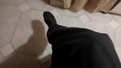 dthedog12 online show from October 17, 2025, 9:17 pm