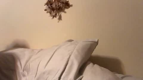 ducebabydee online show from February 5, 2026, 5:56 am