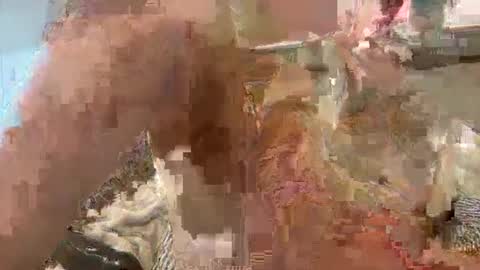 dudecuzbeo online show from February 10, 2025, 3:32 pm