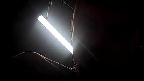 dukester36 online show from April 24, 2026, 11:01 am