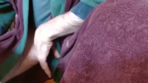 dunany101 online show from March 4, 2025, 5:03 pm