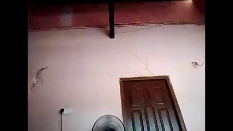 Snapshot of duskytamilkarthik chatting on May 16, 2026, 5:15 am duskytamilkarthik online show from May 16, 2026, 5:15 am