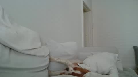 dustyroy09 online show from February 14, 2025, 1:45 am