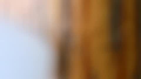 dVe1oPe online show from October 14, 2025, 9:21 am