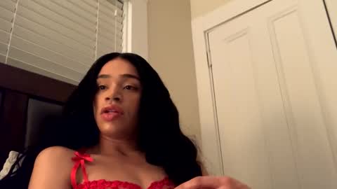 Dynasty online show from December 18, 2024, 3:04 am