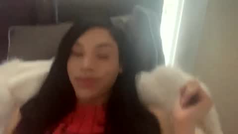 Dynasty online show from February 4, 2025, 9:10 pm