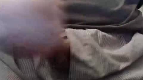 eat_a_peach2 online show from February 11, 2025, 11:12 pm