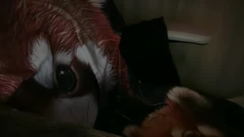 americnbarbie online show from November 13, 2025, 1:04 am