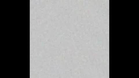 judy online show from January 12, 2026, 3:23 am