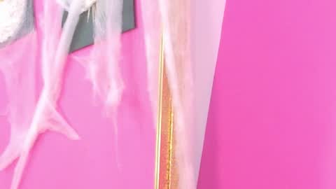 ebonyndsavage online show from October 22, 2025, 9:03 pm