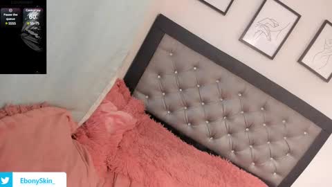 ebonyskinn online show from February 12, 2025, 9:11 pm